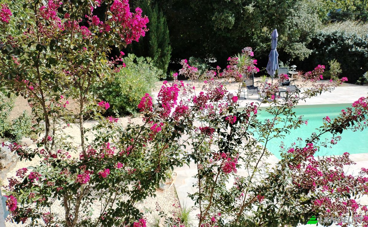 Villa for Sale 125 Av de Matheron, 83136 Meounes-les-Montrieux, Meounes-les-Montrieux, Var, Provence-Alpes-Cote dAzur, France. Photo 5