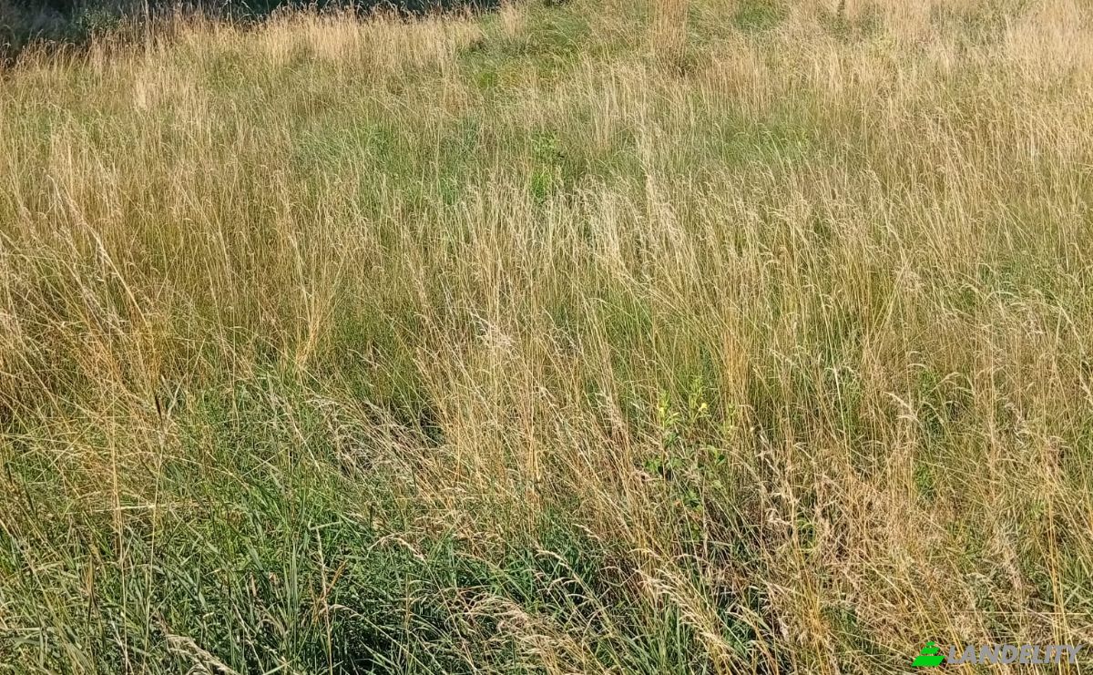 Land Lot for Sale 16-060, MaLynka, BiaLystok County, Podlaskie Voivodeship, Poland. Photo 1