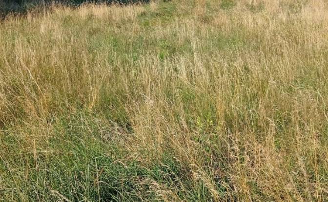 Land Lot for Sale - MaLynka, Poland