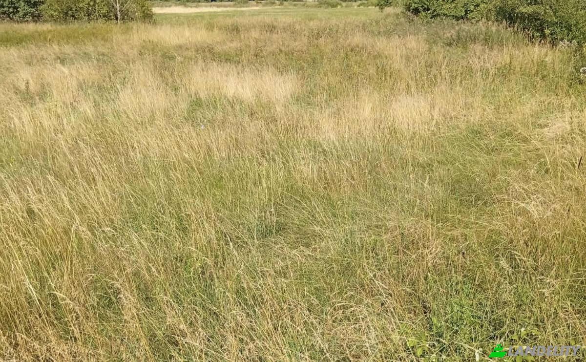 Land Lot for Sale 16-060, MaLynka, BiaLystok County, Podlaskie Voivodeship, Poland. Photo 2