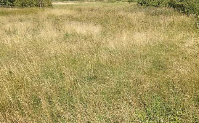 Land Lot for Sale 16-060, MaLynka. Photo#2