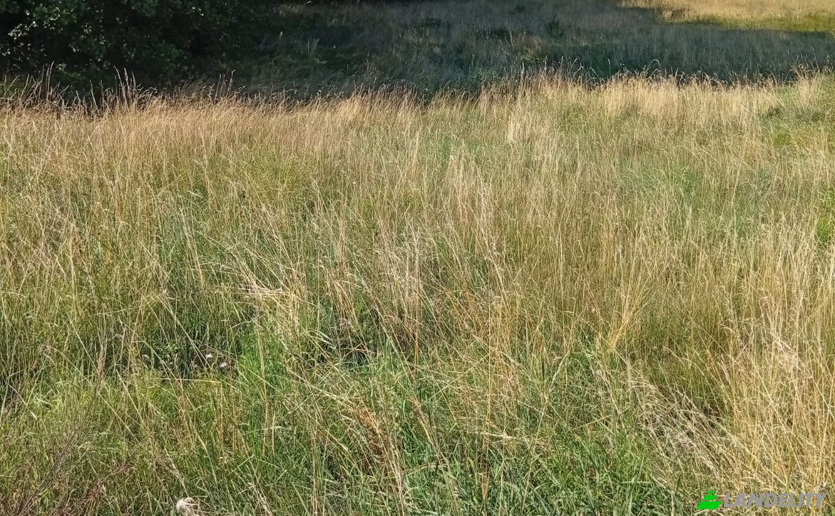 Land Lot for Sale 16-060, MaLynka, BiaLystok County, Podlaskie Voivodeship, Poland. Photo 3