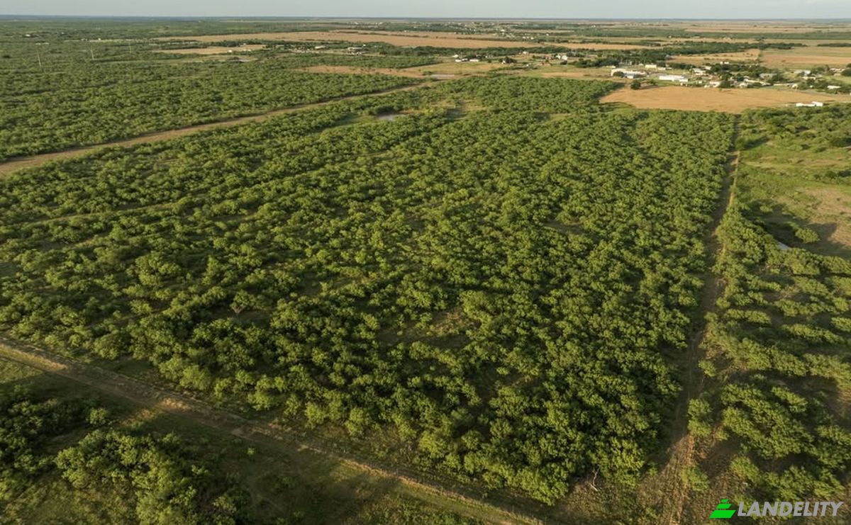 Land Lot for Sale 7231-6839 TX-79, Dean, TX 76305, USA, Cashion Community, Clay County, Texas, United States. Photo 3