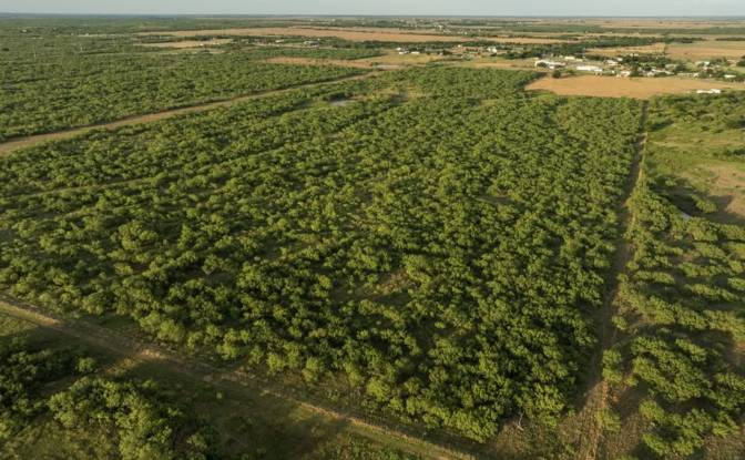 Land Lot for Sale 7231-6839 TX-79, Dean, TX 76305. Photo#3 Land Lot for Sale 7231-6839 TX-79, Dean, TX 76305. Photo#3