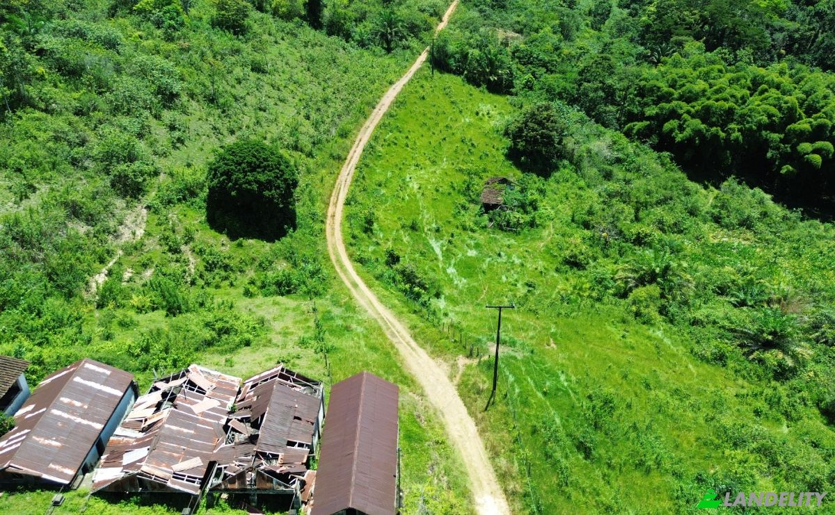 Farm/Ranch for Sale Banco Central, Ilheus, Bahia, Brazil. Photo 1
