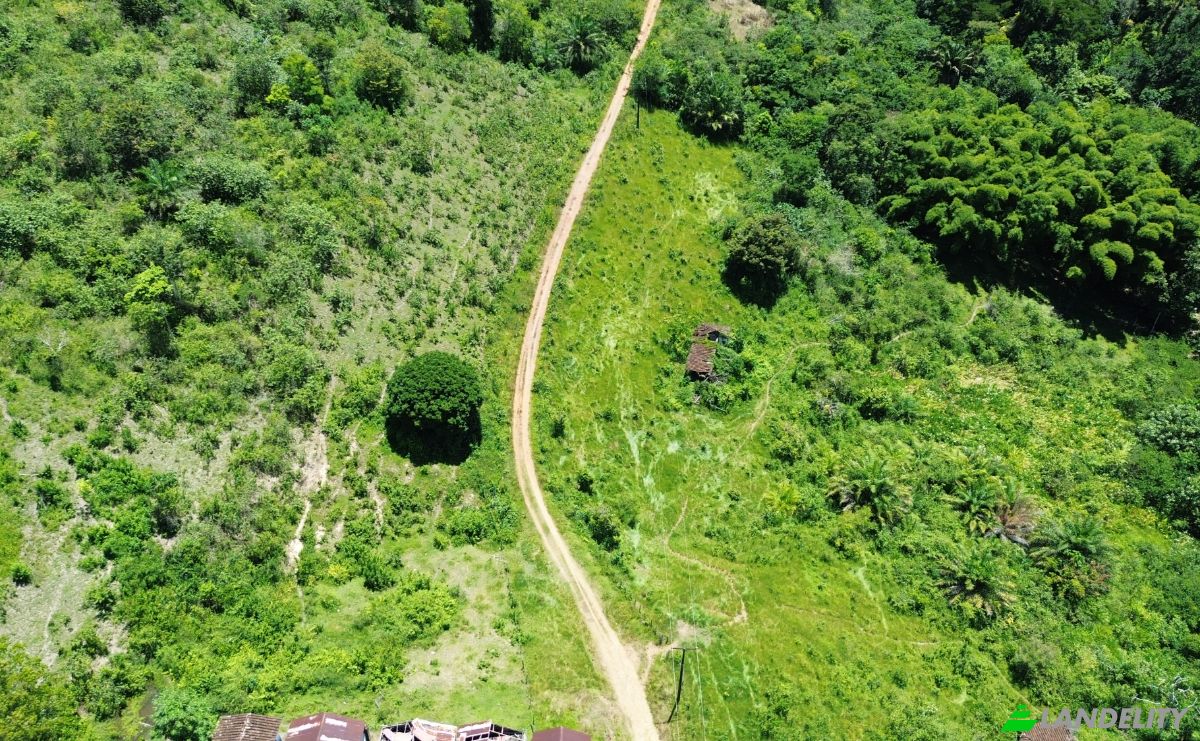 Farm/Ranch for Sale Banco Central, Ilheus, Bahia, Brazil. Photo 2