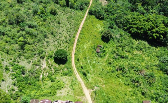 Farm/Ranch for Sale Banco Central, Ilheus, Bahia. Photo#2