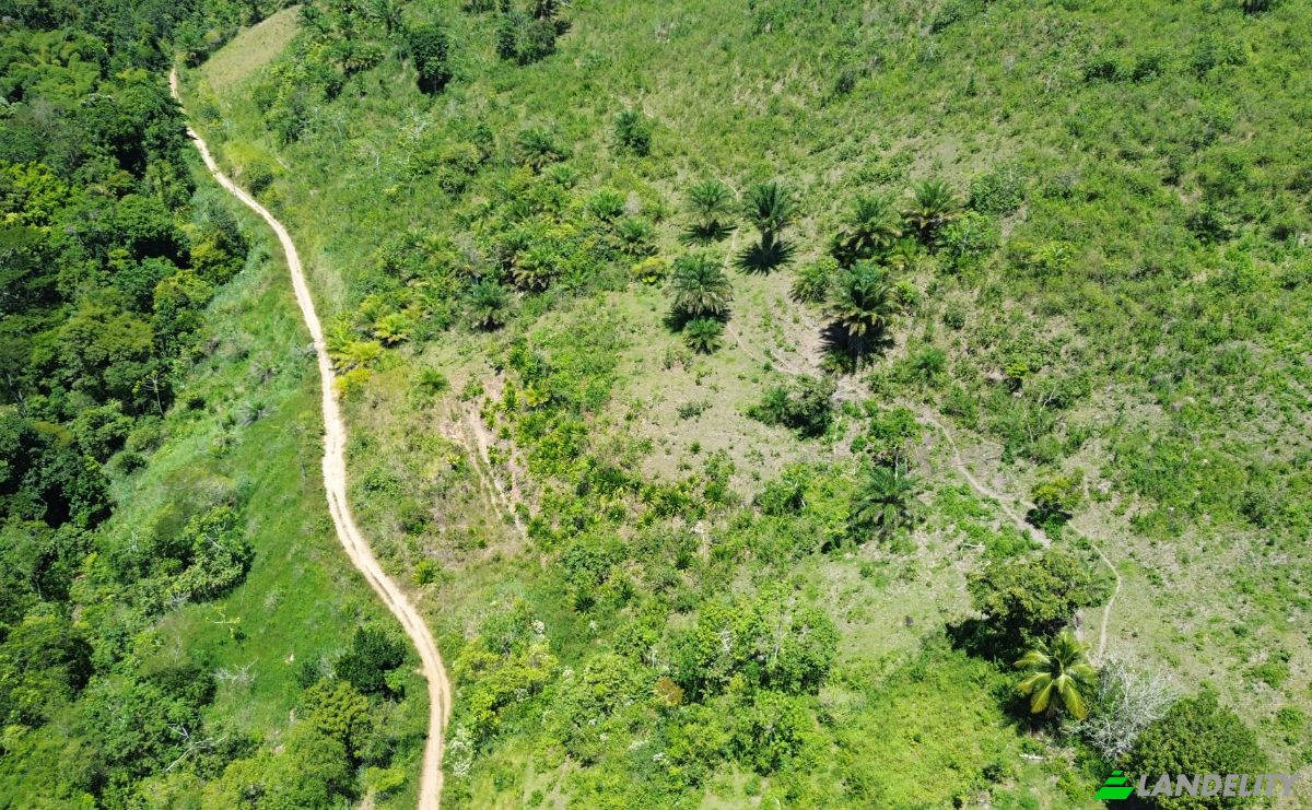 Farm/Ranch for Sale Banco Central, Ilheus, Bahia, Brazil. Photo 4