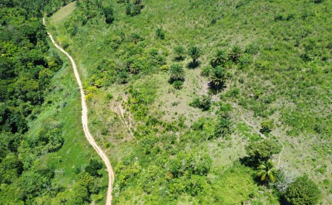 Farm/Ranch for Sale Banco Central, Ilheus, Bahia. Photo#4