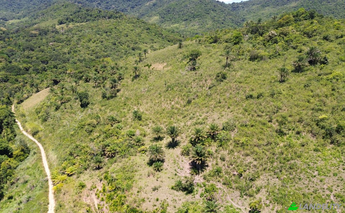 Farm/Ranch for Sale Banco Central, Ilheus, Bahia, Brazil. Photo 5