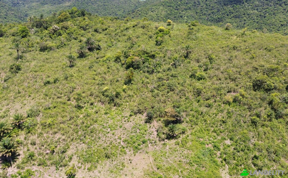 Farm/Ranch for Sale Banco Central, Ilheus, Bahia, Brazil. Photo 6