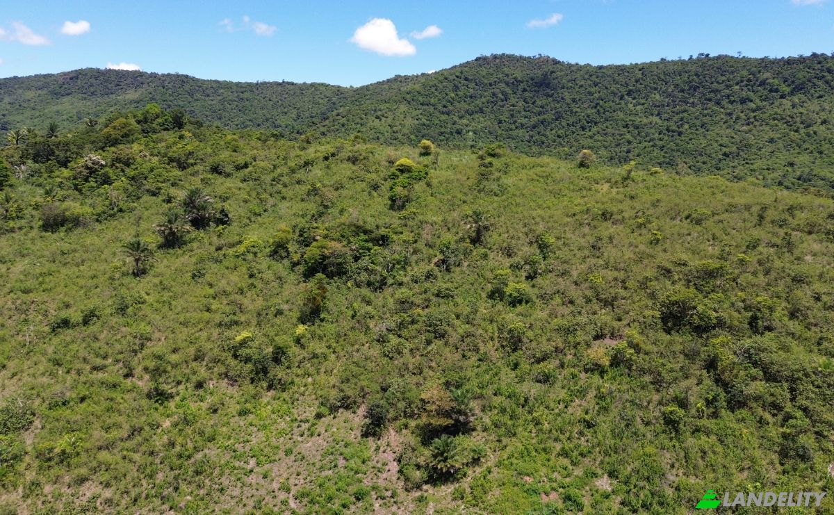 Farm/Ranch for Sale Banco Central, Ilheus, Bahia, Brazil. Photo 7