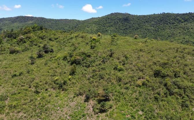 Farm/Ranch for Sale Banco Central, Ilheus, Bahia. Photo#7