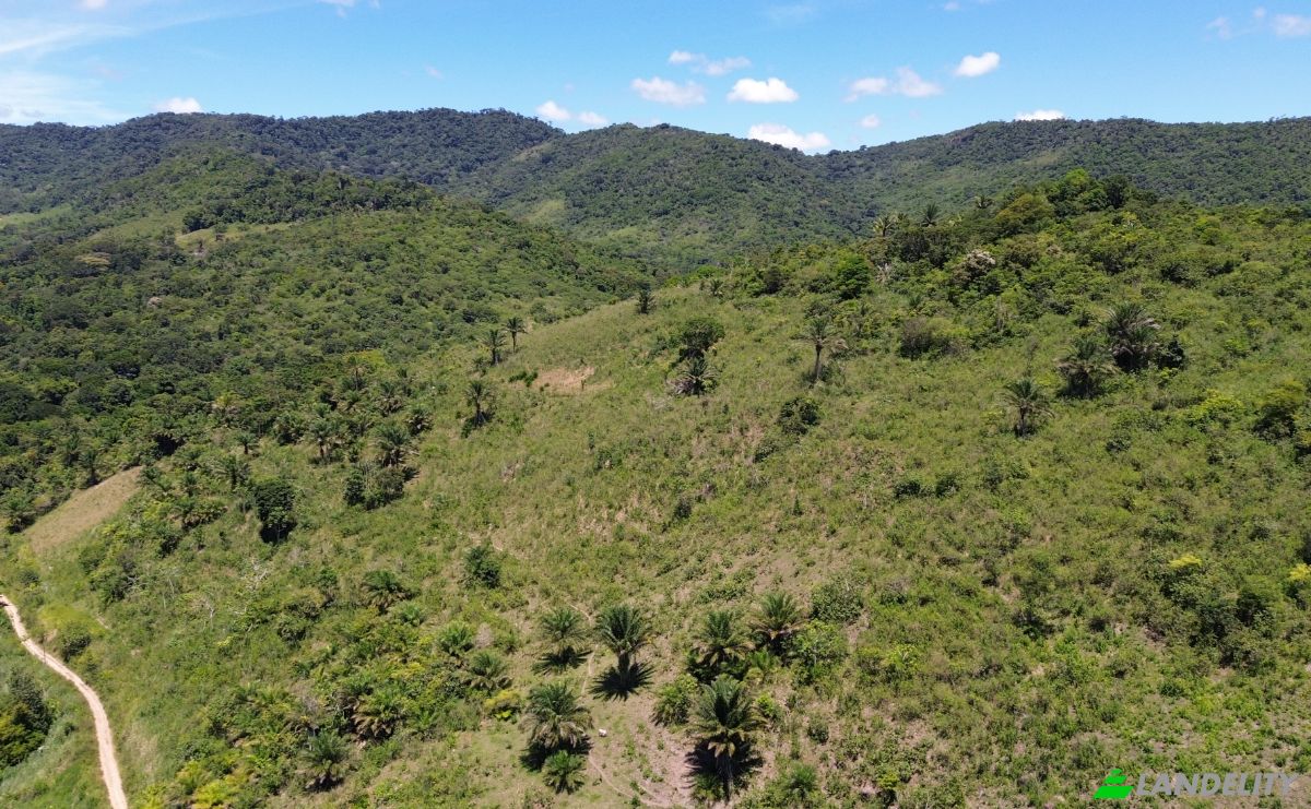 Farm/Ranch for Sale Banco Central, Ilheus, Bahia, Brazil. Photo 8