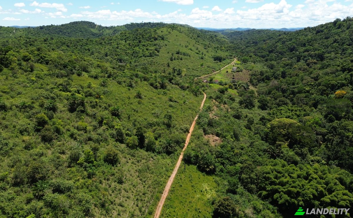 Farm/Ranch for Sale Banco Central, Ilheus, Bahia, Brazil. Photo 10