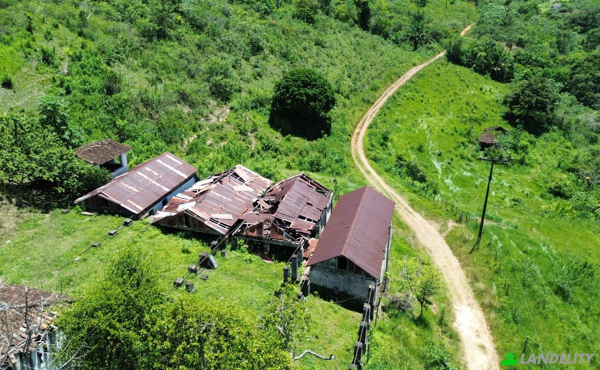 Farm/Ranch for Sale Banco Central, Ilheus, Bahia, Brazil. Photo 11