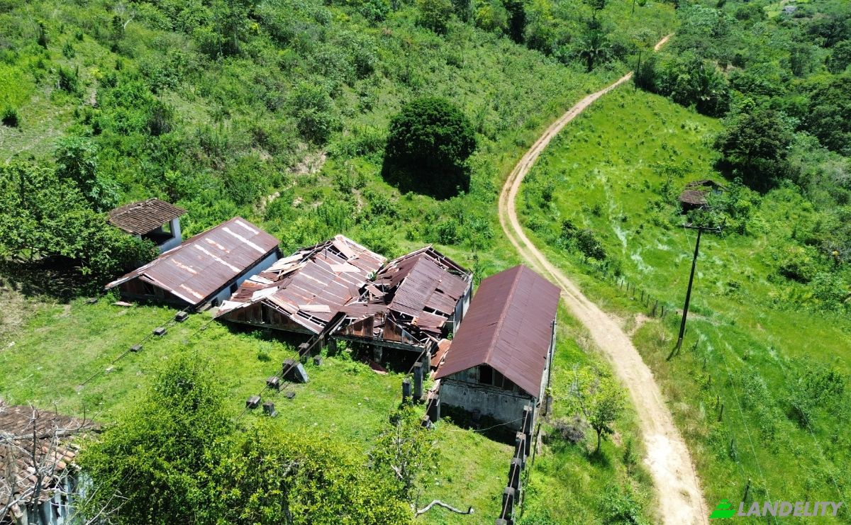 Farm/Ranch for Sale Banco Central, Ilheus, Bahia, Brazil. Photo 12