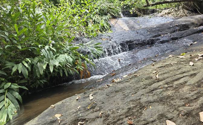 Farm/Ranch for Sale Banco Central, Ilheus, Bahia. Photo#13