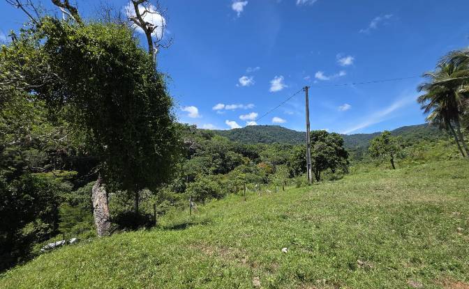 Farm/Ranch for Sale Banco Central, Ilheus, Bahia. Photo#14