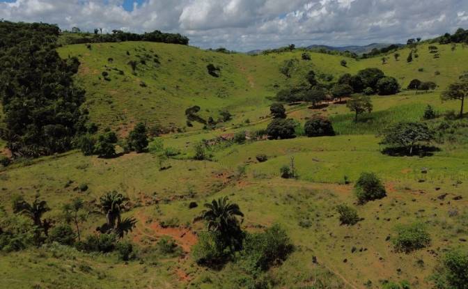 Farm/Ranch for Sale - Ibicui, Brazil