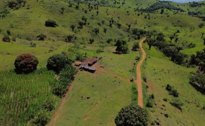 Farm/Ranch for Sale R Artur Pires, Ibicui, Bahia. Photo#2