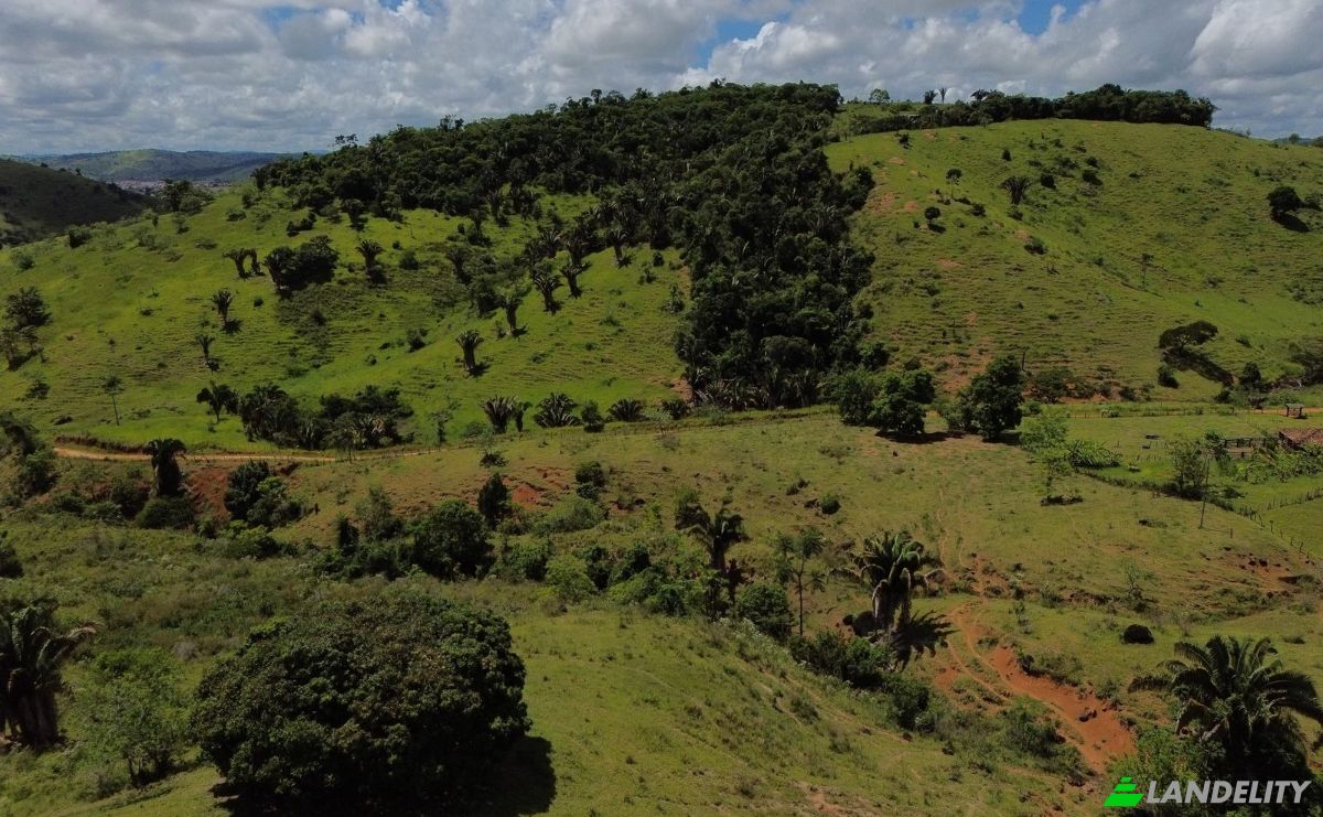 Farm/Ranch for Sale R Artur Pires, Ibicui, Bahia, Brazil, 45290-000. Photo 3
