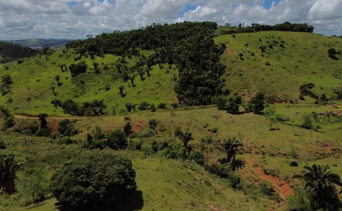 Farm/Ranch for Sale R Artur Pires, Ibicui, Bahia. Photo#3