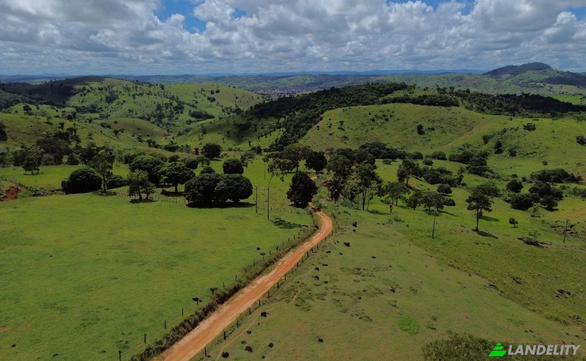 Farm/Ranch for Sale R Artur Pires, Ibicui, Bahia, Brazil, 45290-000. Photo 4