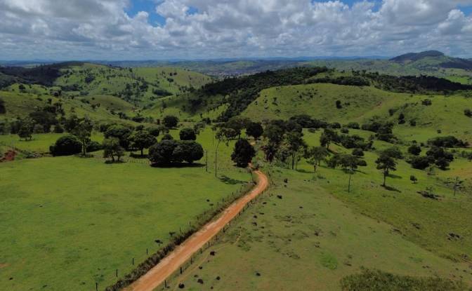 Farm/Ranch for Sale R Artur Pires, Ibicui, Bahia. Photo#4