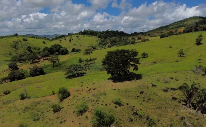 Farm/Ranch for Sale R Artur Pires, Ibicui, Bahia. Photo#5