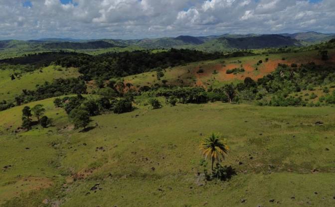 Farm/Ranch for Sale R Artur Pires, Ibicui, Bahia. Photo#6