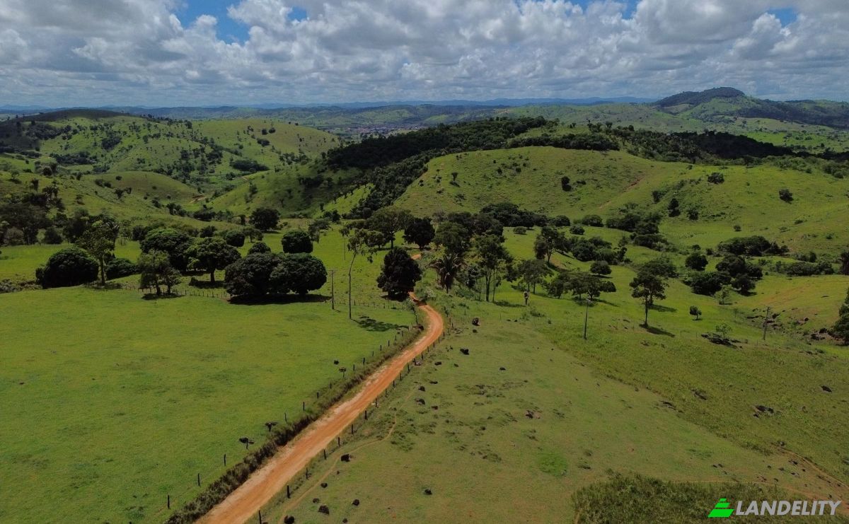 Farm/Ranch for Sale R Artur Pires, Ibicui, Bahia, Brazil, 45290-000. Photo 7