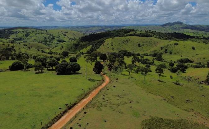 Farm/Ranch for Sale R Artur Pires, Ibicui, Bahia. Photo#7