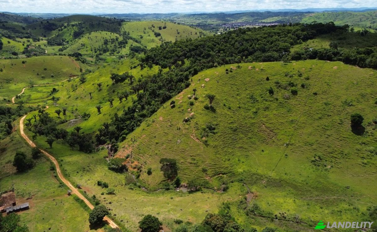 Farm/Ranch for Sale R Artur Pires, Ibicui, Bahia, Brazil, 45290-000. Photo 8
