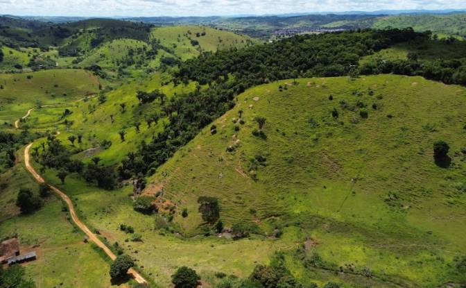 Farm/Ranch for Sale R Artur Pires, Ibicui, Bahia. Photo#8
