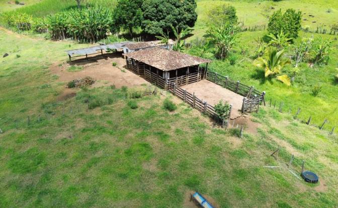 Farm/Ranch for Sale R Artur Pires, Ibicui, Bahia. Photo#10