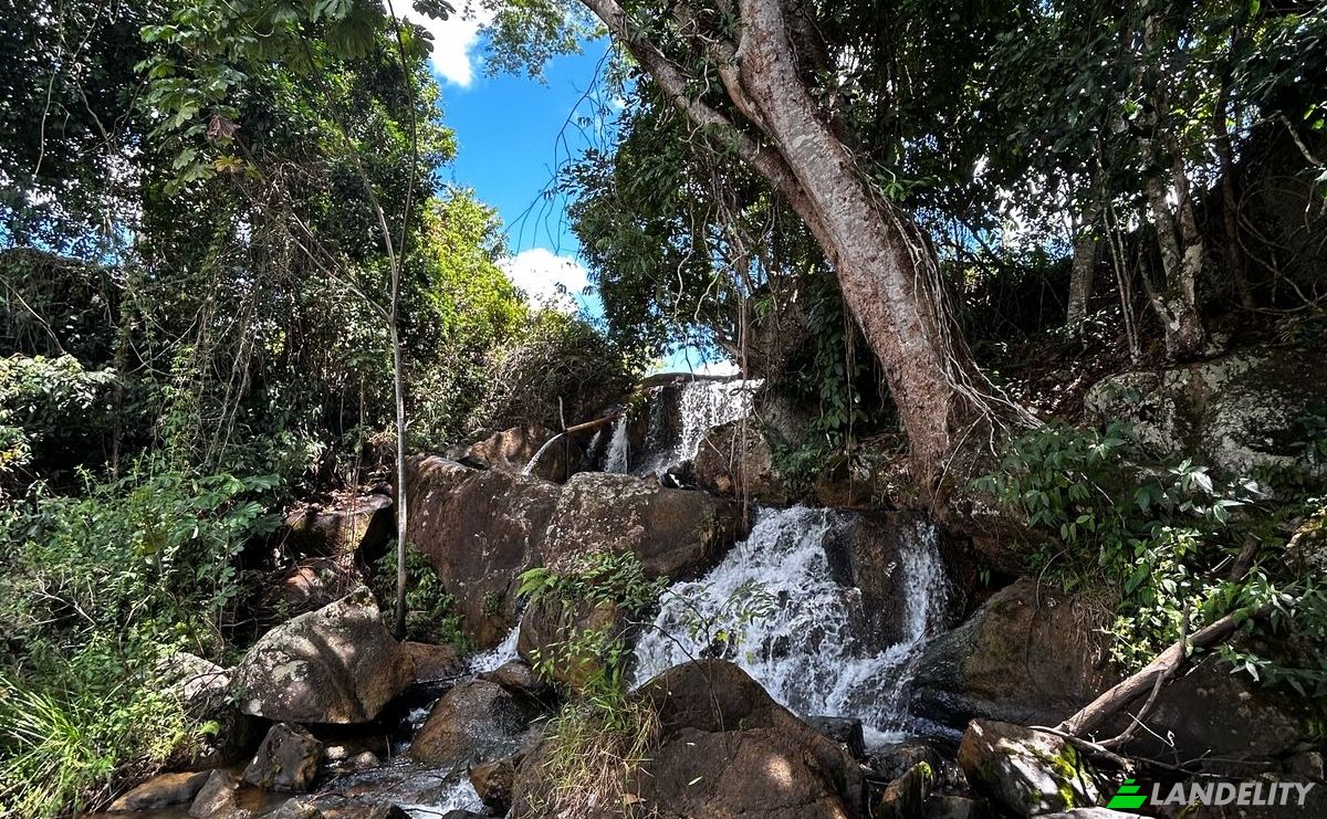 Farm/Ranch for Sale R Artur Pires, Ibicui, Bahia, Brazil, 45290-000. Photo 11