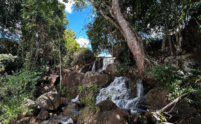 Farm/Ranch for Sale R Artur Pires, Ibicui, Bahia. Photo#11