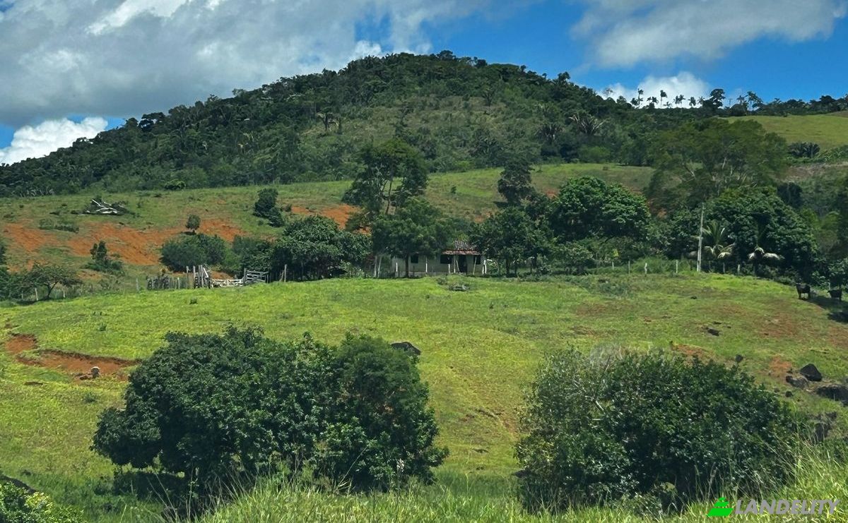 Farm/Ranch for Sale R Artur Pires, Ibicui, Bahia, Brazil, 45290-000. Photo 13
