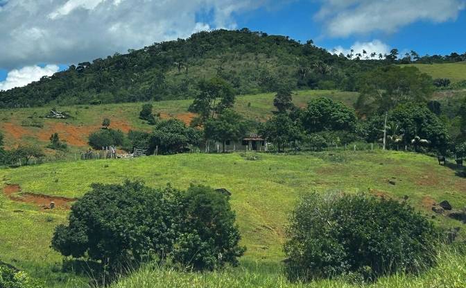 Farm/Ranch for Sale R Artur Pires, Ibicui, Bahia. Photo#13