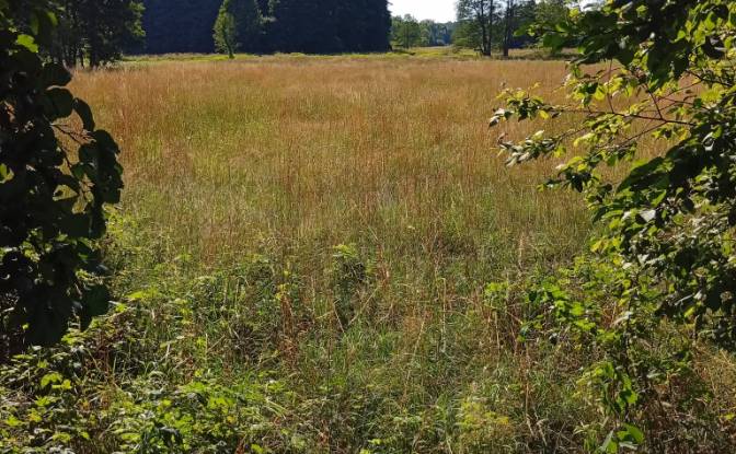 Land Lot for Sale - KoLpaki, Poland