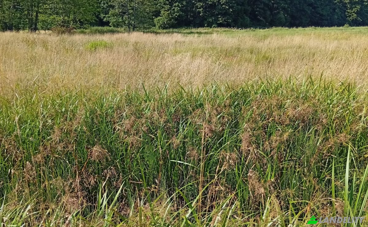 Land Lot for Sale 16-060, KoLpaki, BiaLystok County, Podlaskie Voivodeship, Poland. Photo 2