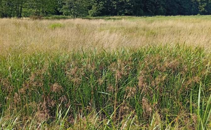 Land Lot for Sale 16-060, KoLpaki. Photo#2 Land Lot for Sale 16-060, KoLpaki. Photo#2