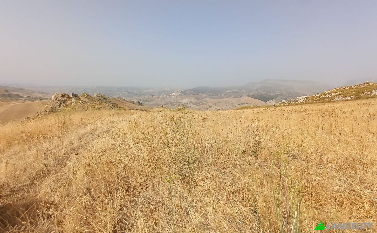 Investing/Development for Sale 92022 Cammarata AG, Cammarata, Free municipal consortium of Agrigento, Sicily, Italy. Photo 4