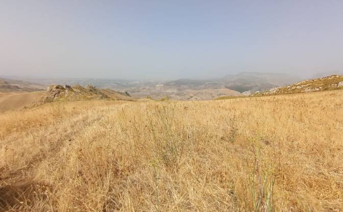 Investing/Development for Sale 92022 Cammarata AG. Photo#4 Investing/Development for Sale 92022 Cammarata AG. Photo#4