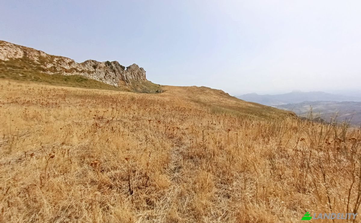 Investing/Development for Sale 92022 Cammarata AG, Cammarata, Free municipal consortium of Agrigento, Sicily, Italy. Photo 5