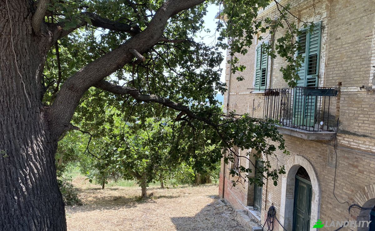 Villa for Sale Via Marrocco, 66030 Mozzagrogna CH, Mozzagrogna, Province of Chieti, Abruzzo, Italy. Photo 3