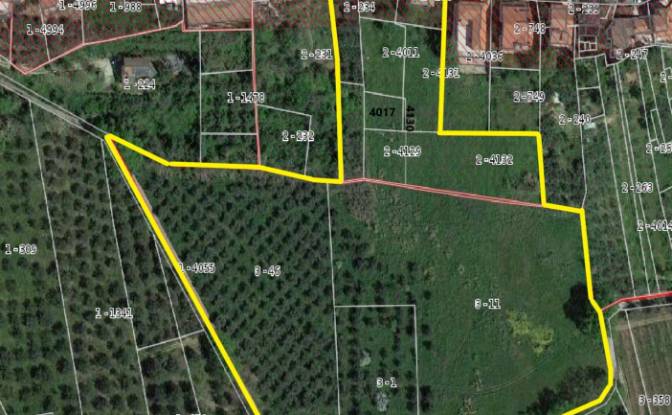 Villa for Sale Via Marrocco, 66030 Mozzagrogna CH. Photo#7