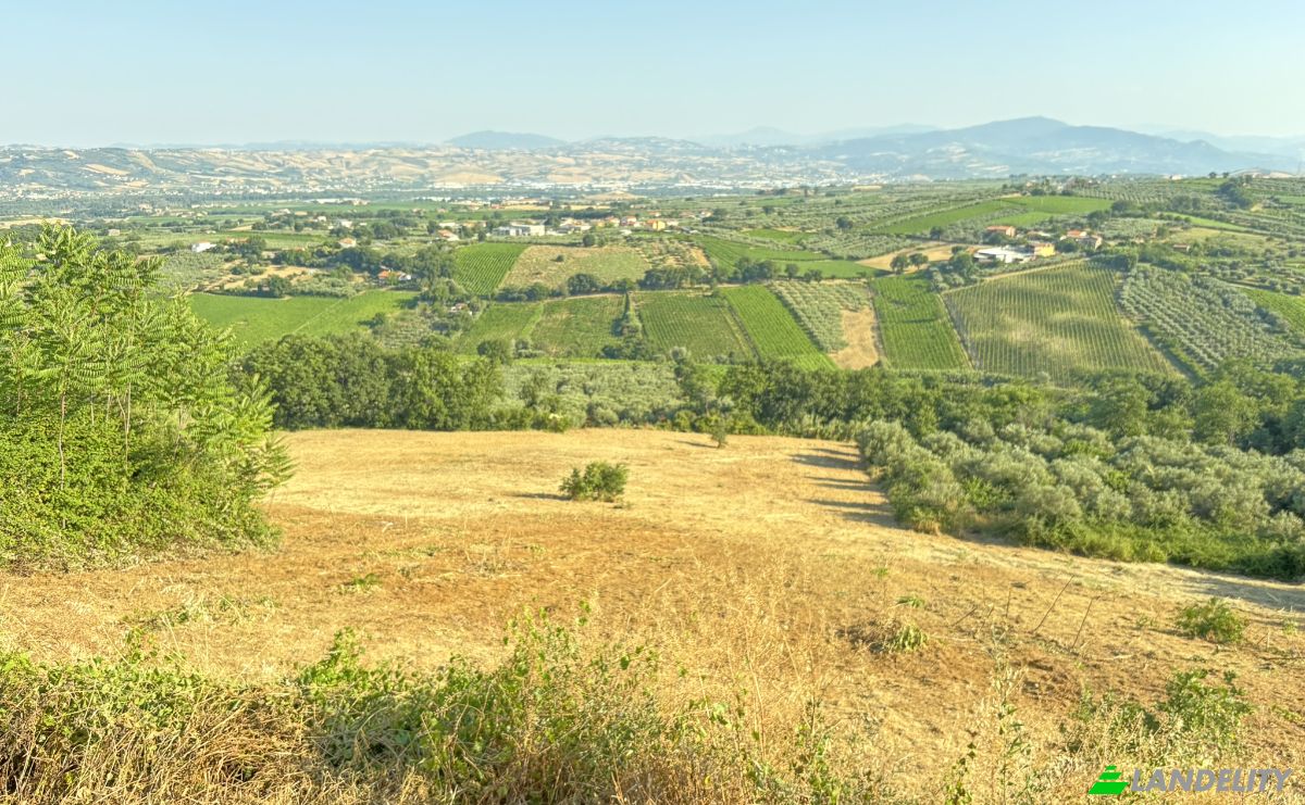 Villa for Sale Via Marrocco, 66030 Mozzagrogna CH, Mozzagrogna, Province of Chieti, Abruzzo, Italy. Photo 5