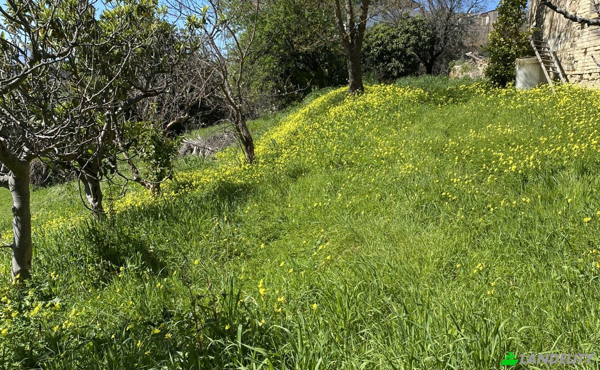 Villa for Sale Via Marrocco, 66030 Mozzagrogna CH, Mozzagrogna, Province of Chieti, Abruzzo, Italy. Photo 6